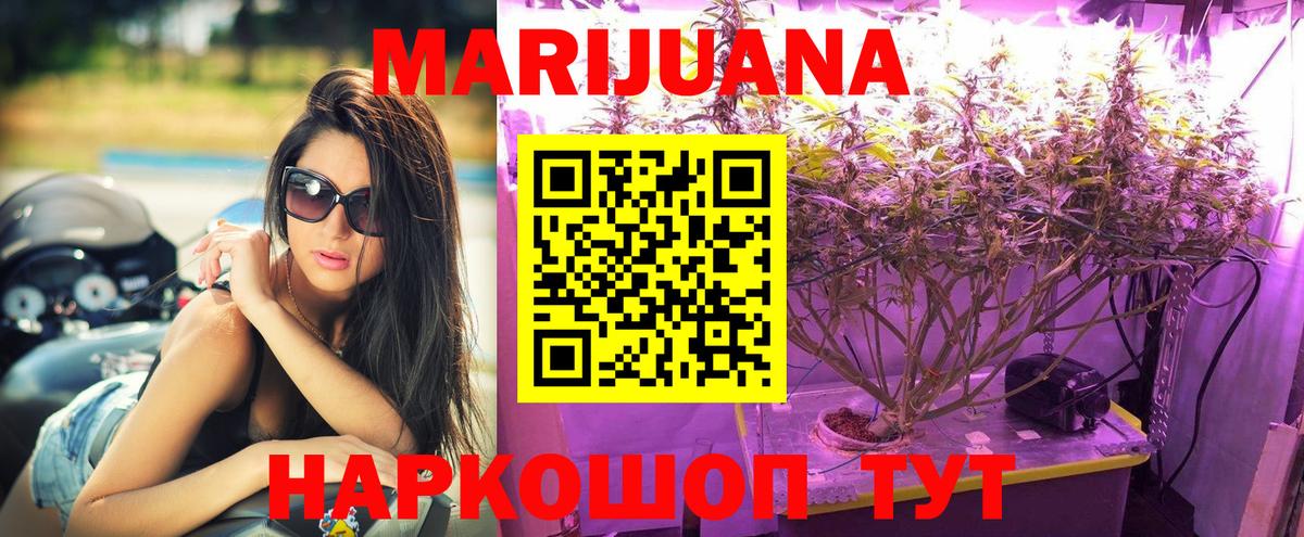 Бошки марихуана OG Kush Сосновый Бор